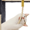 Cat Tree Tower Condo Activity Centre For Indoor Cats MultiLevel Scratching Post Kitten Playhouse C 8
