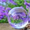 60mm Photography Crystal Ball Clear Lensball Sphere For Creative Photo Props Decoration 3