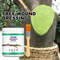 Bonsai Cut Wound Paste Tree Grafting Pruning Sealer With Brush FastHealing Smear Agent For Plants 2