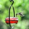 Elegant Hummingbird Feeder with Red Glass Bowl, Outdoor Hanging Drinker to Attract Birds to Garden, Backyard & Patio
