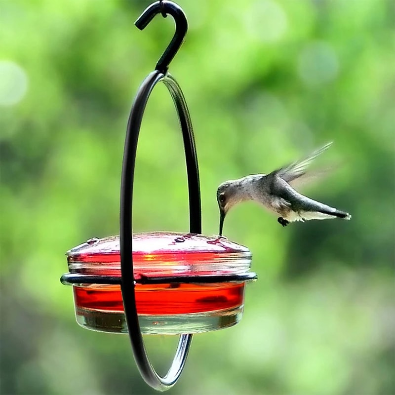 Elegant Hummingbird Feeder with Red Glass Bowl, Outdoor Hanging Drinker to Attract Birds to Garden, Backyard & Patio