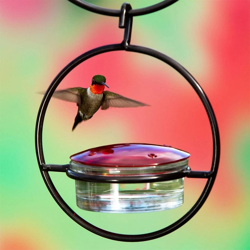 Elegant Hummingbird Feeder with Red Glass Bowl, Outdoor Hanging Drinker to Attract Birds to Garden, Backyard & Patio