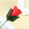 Flame To Rose Magic Trick Professional Torch To Flower Illusion Prop For Magicians Stunning Bar Tri 4