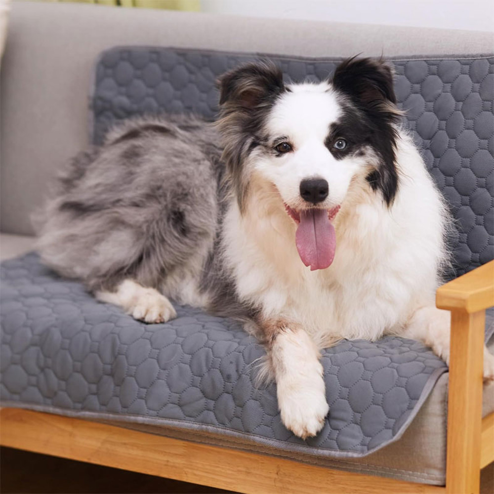 Dog Pee Pad,Reusable Washable Pet Urine Mat,Waterproof Absorbent Puppy Cat Training Diaper,Sofa Car Seat Floor Protector