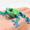 Multi Joint Movable Frog Model, 3D Printed Cute Animal Toy, Glittering Eyes, Realistic Simulation, Room Decor