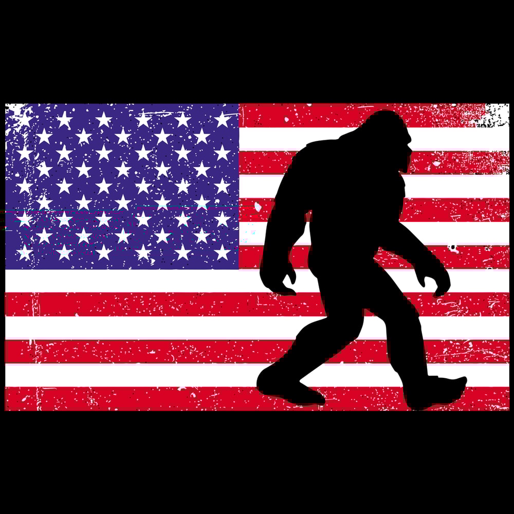 America-Bigfoot-Independence-Day-Svg-IN012021186.png