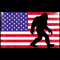 America-Bigfoot-Independence-Day-Svg-IN012021186.png