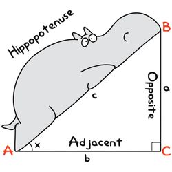 hippopotenuse svg