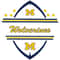Logo-Michigan-Wolverines-Svg-SP210526NL32.jpg