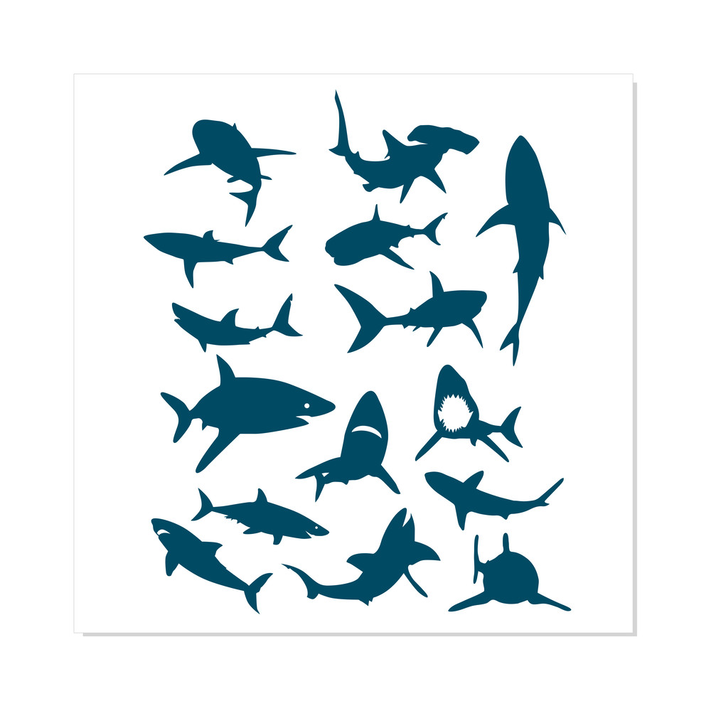 Shark Bundle png svg 2.png