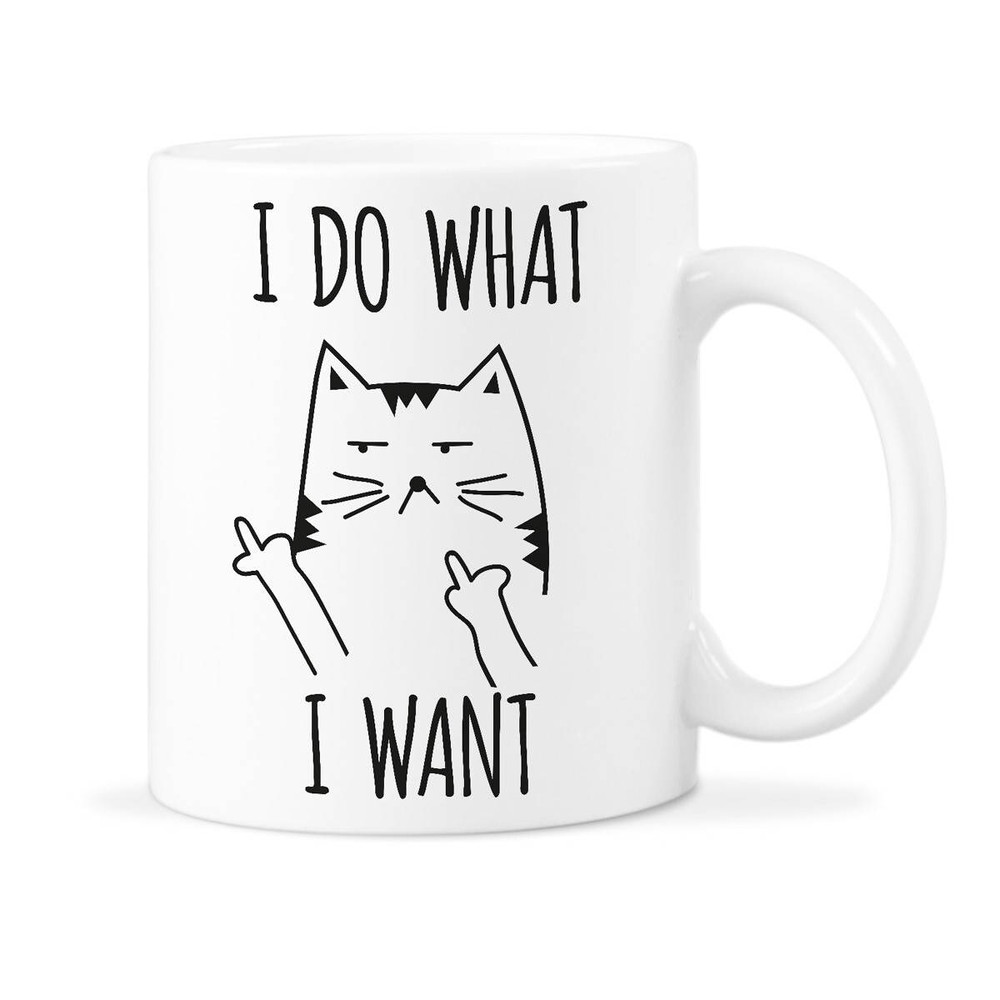 I Do What I Want Cat I Do What I Want Cat Mug Cat Lover Gift Cat Cup Fluff You Cat Coffee Cup Funny Cat.jpg