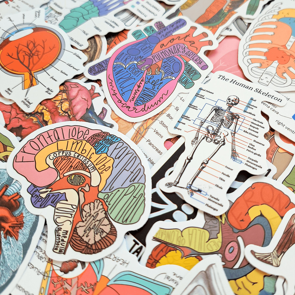 50 PCS Science Anatomy Sticker Pack Medical Anatomy Stickers Human Body Stickers Biology Stickers S