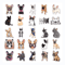 50 PCS French Bulldog Sticker Pack Frenchie Dog Stickers Puppy Stickers Frenchie Mom Stickers Lapto 4