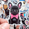 50 PCS French Bulldog Sticker Pack Frenchie Dog Stickers Puppy Stickers Frenchie Mom Stickers Lapto 10