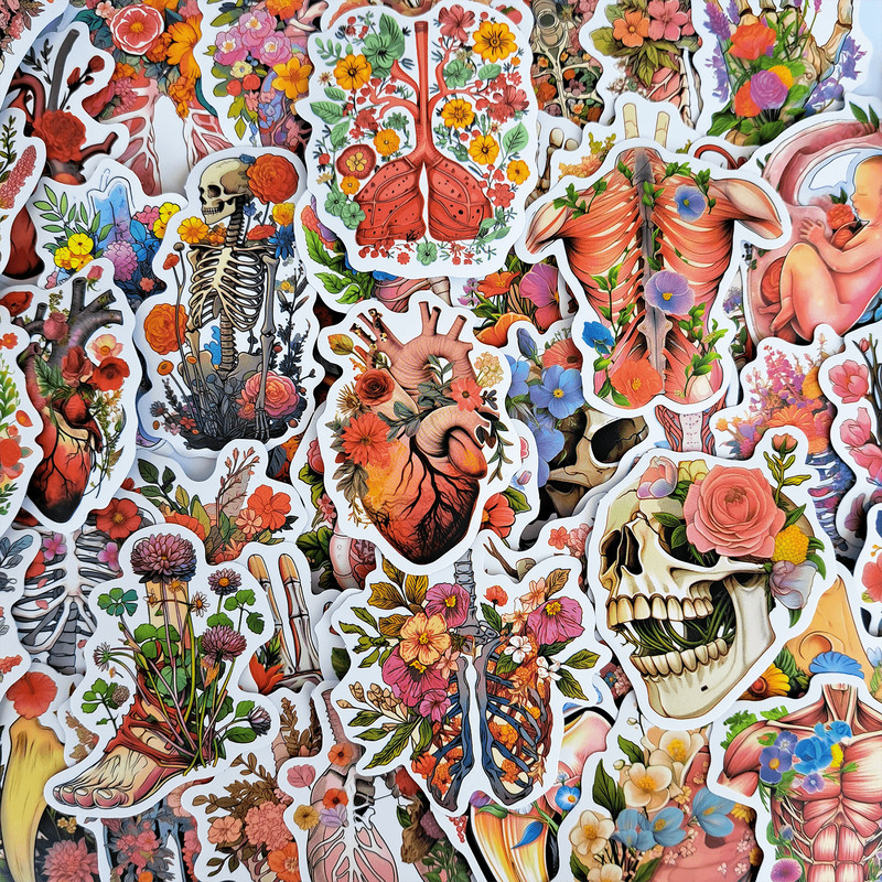 50 PCS Anatomy Floral Sticker Pack Human Body Stickers Floral Organs Anatomy Skeleton Stickers Medi 0