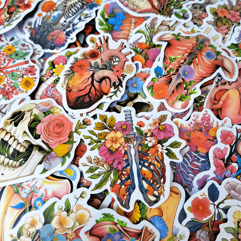 50 PCS Anatomy Floral Sticker Pack Human Body Stickers Floral Organs Anatomy Skeleton Stickers Medi 1