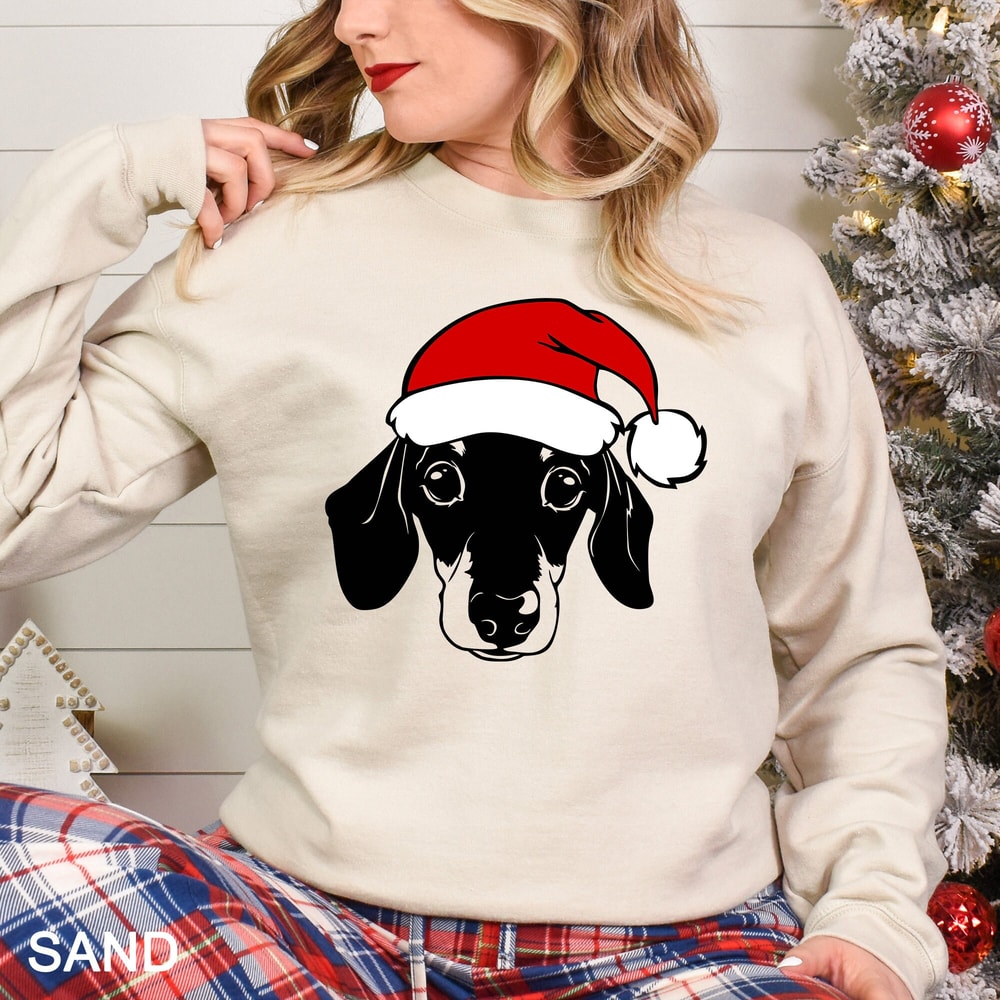 Doxie Dog With Santa Hat Sweatshirt, Doxie Dog Christmas Shirt, Doxie Dog Christmas Sweater, Christmas Dog Shirt, CR-0274.jpg