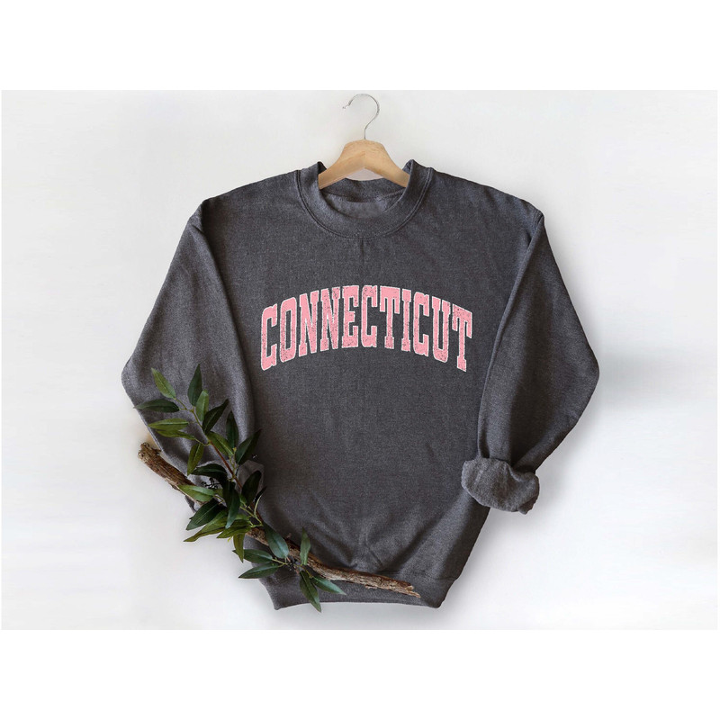 Connecticut Sweatshirt, Connecticut Pink Print Hoodie, Cute Connecticut Fan Sweater, Connecticut College Student Gifts, Connecticut State.jpg