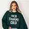 I'm So Freaking Cold Sweatshirt, Cold Weather Funny Shirt, Sweatshirt, Chilly Nights Shirt, Funny Winter, Warm and Cozy Christmas Sweatshirt.jpg