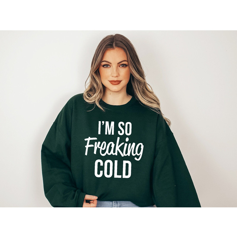 I'm So Freaking Cold Sweatshirt, Cold Weather Funny Shirt, Sweatshirt, Chilly Nights Shirt, Funny Winter, Warm and Cozy Christmas Sweatshirt.jpg