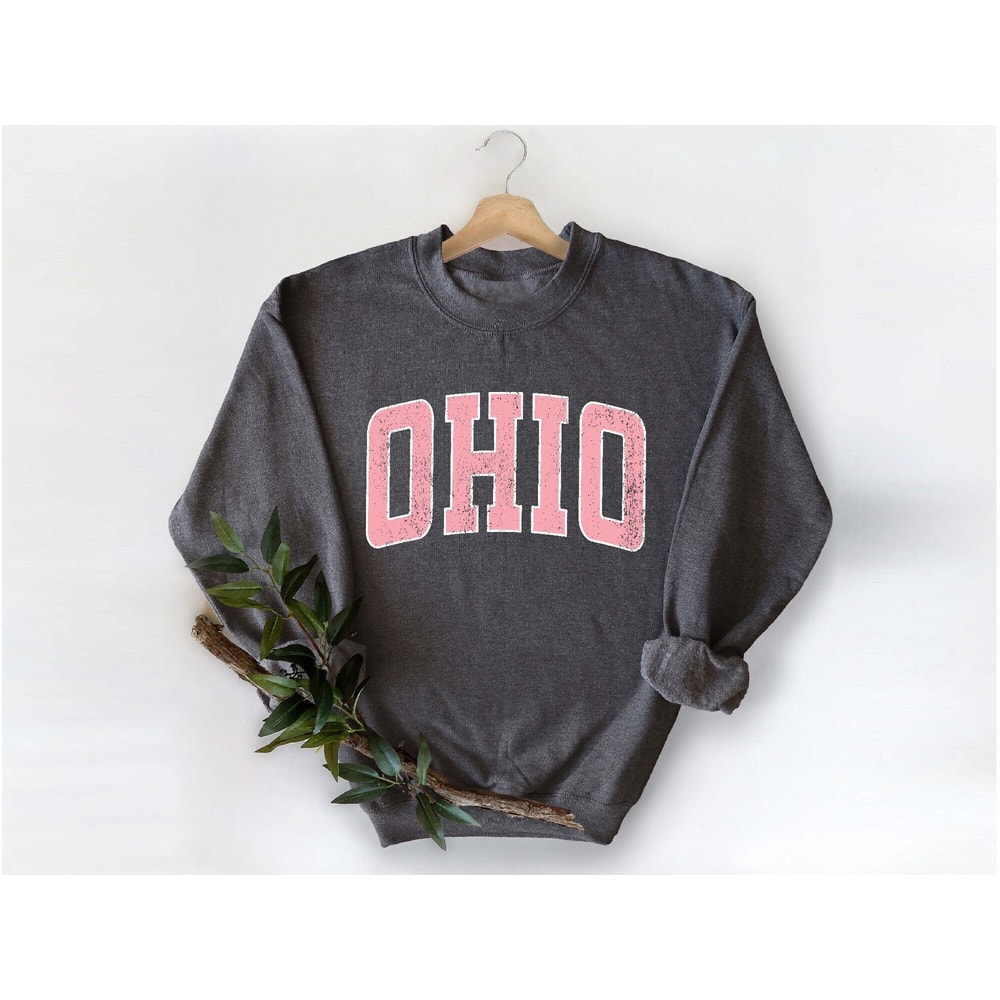 Ohio Sweatshirt, Ohio Pink Print Hoodie, Cute Ohio Sweater, Ohio College Student Gifts, University of Ohio Apparel, Ohio State Sweater.jpg
