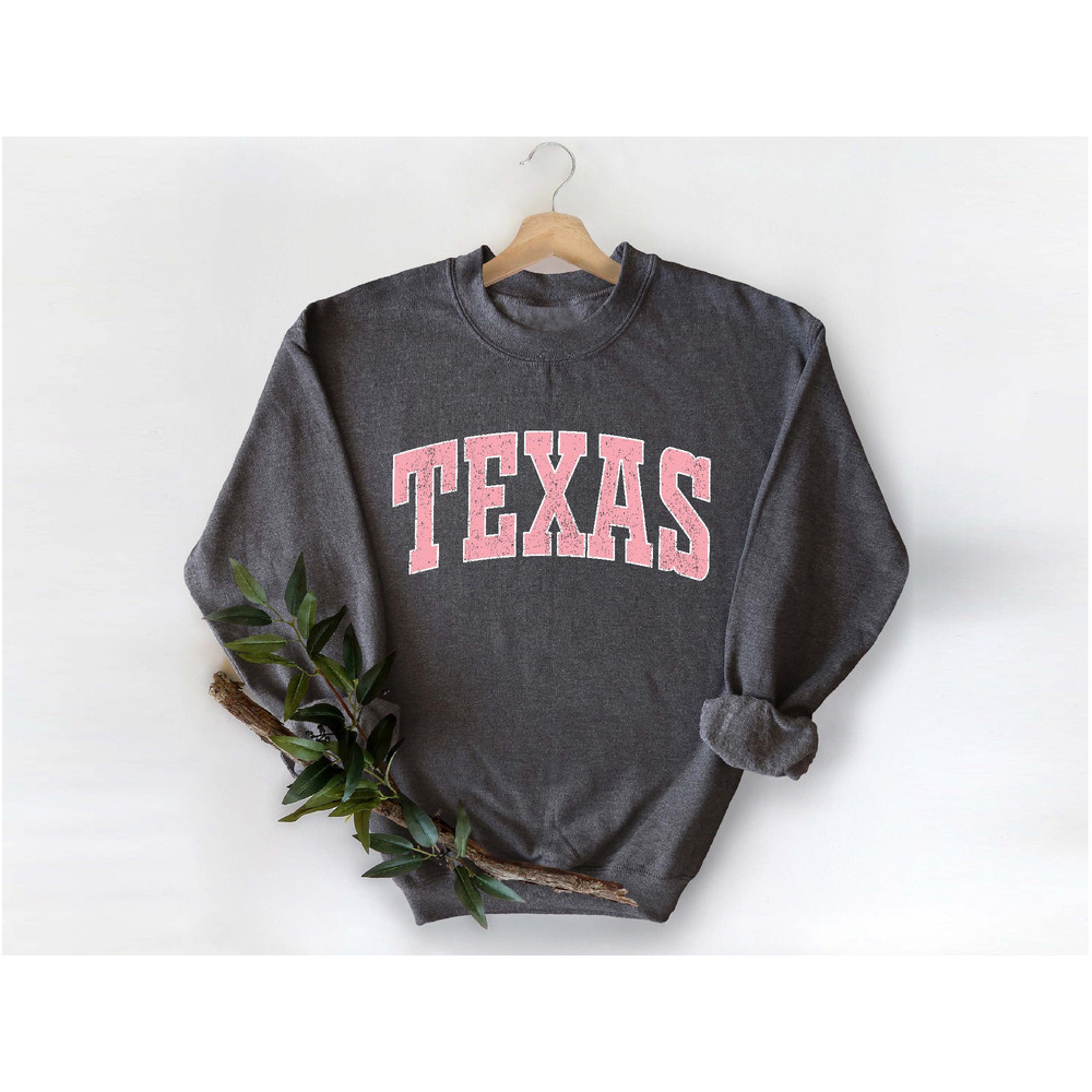 Texas Sweatshirt, Texas Pink Print Hoodie, Austin Cute Texas Fan Sweater, Texas College Student Gifts, University of Texas Sweatshirt.jpg