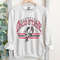 Retro Ohio sweatshirt in classic gray, college sweatshirt, university sweatshirt, gift for student, alumni, oversized.jpg