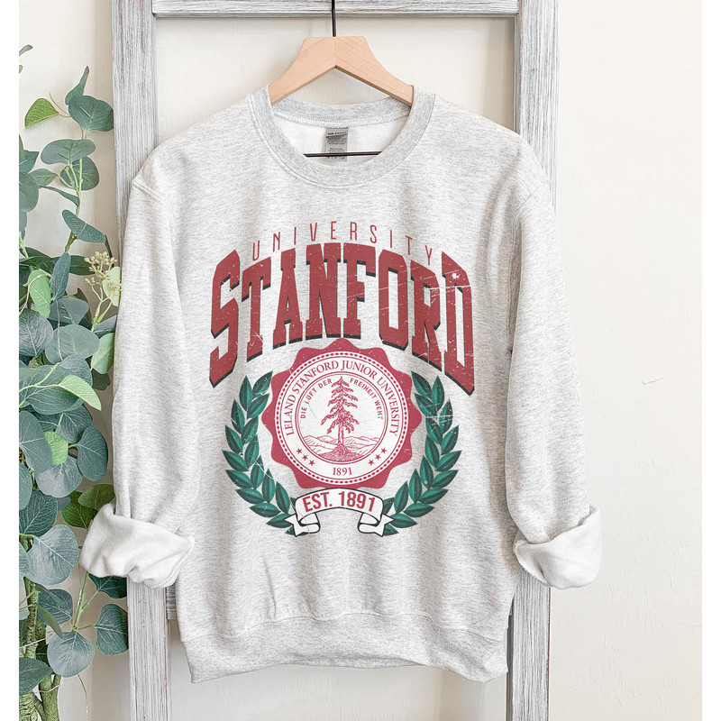 Retro Stanford sweatshirt in classic gray, college sweatshirt, oversized, unisex,.jpg