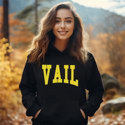 vail hoodie, national park sweatshirt, retro rocky mountain hoodie, colorado hoodie, travel shirt, hiking hoodie, vail s