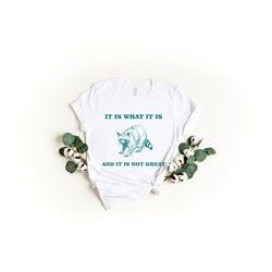 it is what it is and it is not great, vintage drawing shirt, raccoon meme t-shirt, funny trash panda shirt, unisex tee