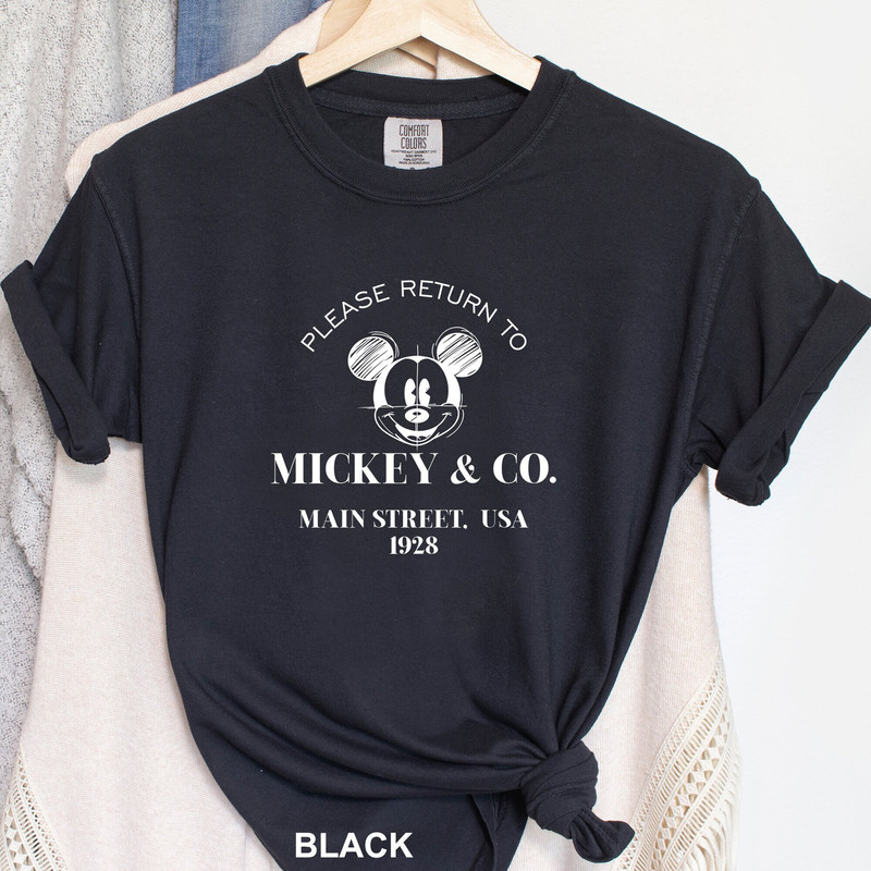 Mickey and Friends Shirt, Comfort colors Disney Shirt, Mickey and co Shirt, Retro Mickey and Friends Shirt, Disneyworld Shirt, 120894.jpg