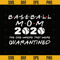 Baseball Mom 2020 The One Where They Were Quarantined Funny Baseball  Kids League Silhouette SVG.jpg