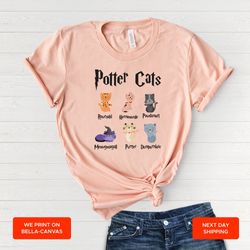 funny cats tshirt, birthday gift shirt, cute cats shirt, funny kitten shirt, gift for cat owner, gift for birthday tee,