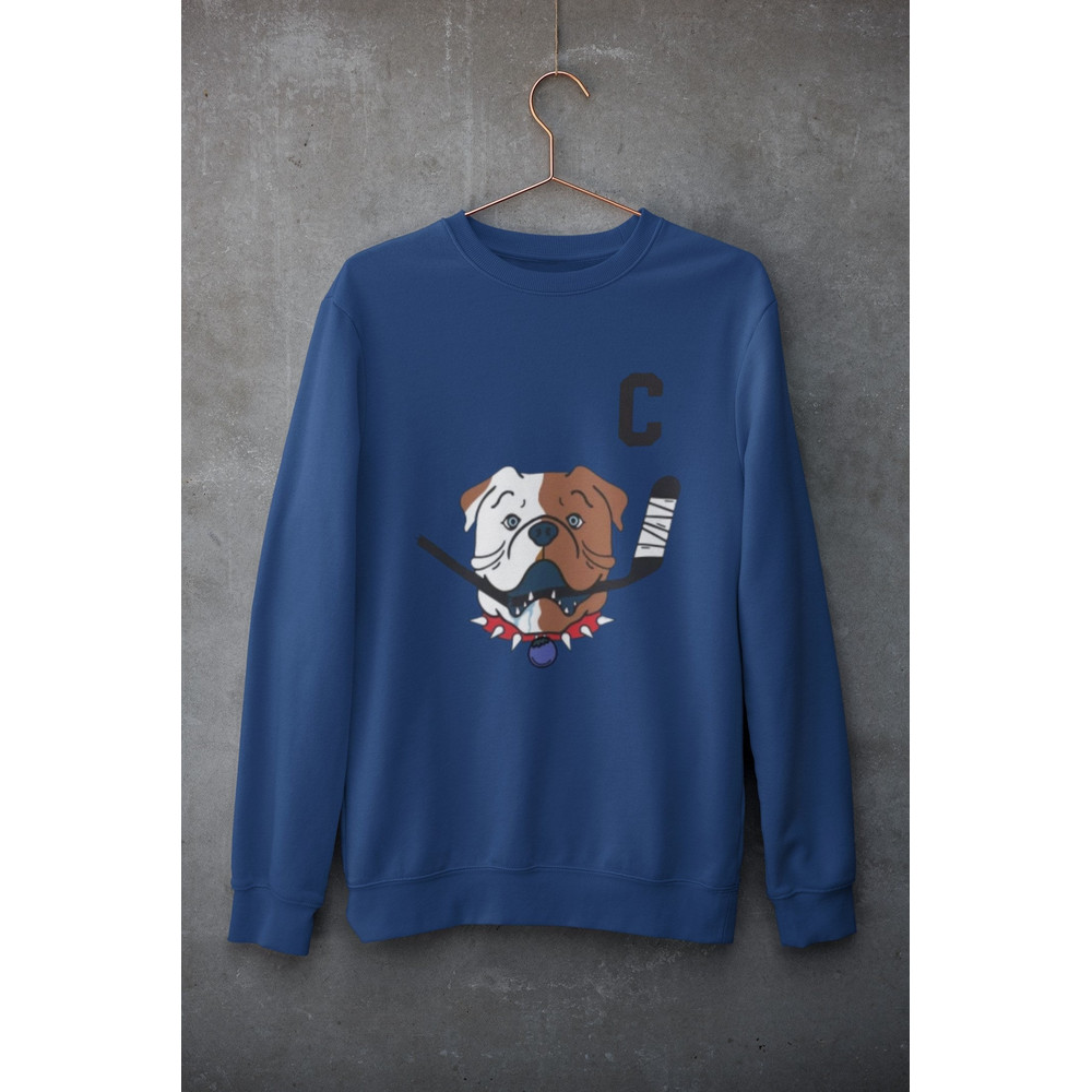 Letterkenny Hoodie, SHORESY Sudbury Blueberry Bulldogs #69 Captain Sweater.jpg