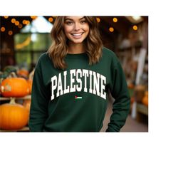 palestine sweatshirt, palestine flag hoodie, activist sweater, human rights shirt, protest sweater, i stand with palesti