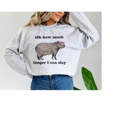 idk how much longer i can slay capybara sweatshirt weirdcore shirts that go hard funny meme tee capybara sweater possum