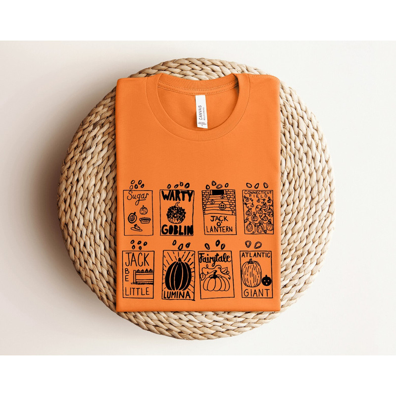 Fall Vibes Shirt, Pumpkin Season Shirt, Trick or Treat Shirt, Pumpkin Face Shirt, Fall Shirt, Pumpkin Shirt For Women, Autumn Fall Shirt.jpg