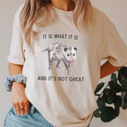 vintage drawing t shirt, opossum meme t shirt, funny trash kitty t shirt, funny opossum shirt, funny women's shirts