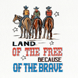 land of the free because of the brave