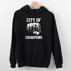 vintage boston city of champions black unisex hoodies, boston sports classic hoodie, boston city sports shirt, gift for