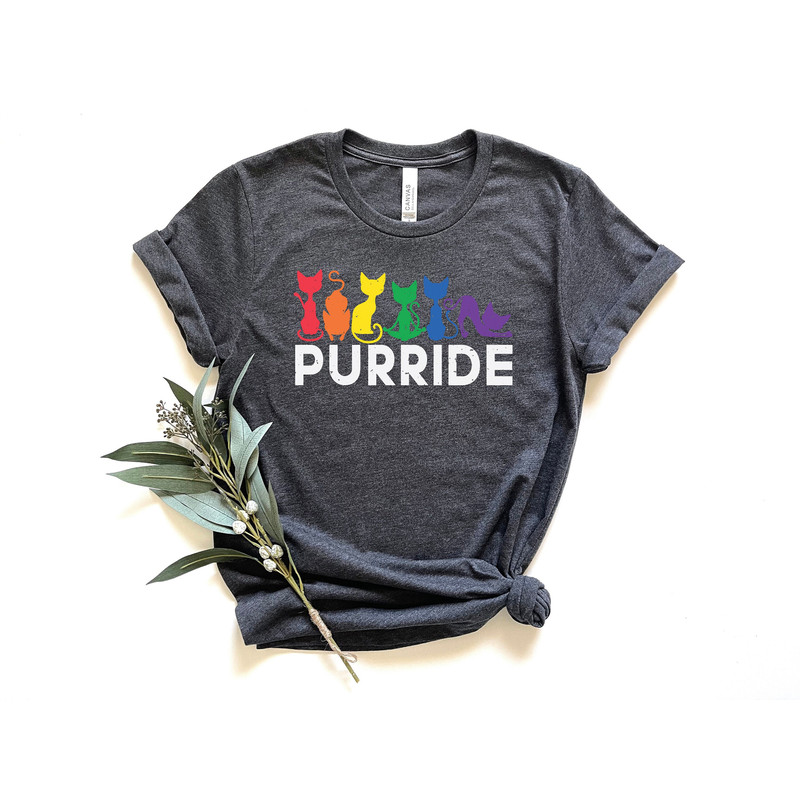 Purride Pride Shirt, Pride Cat Shirt, Pride Cat Owner Shirt, Pride Shirt, Pride Flag, LGBTQ Shirt, Lesbian Shirt, Gay Shirt, Pride Gift.jpg