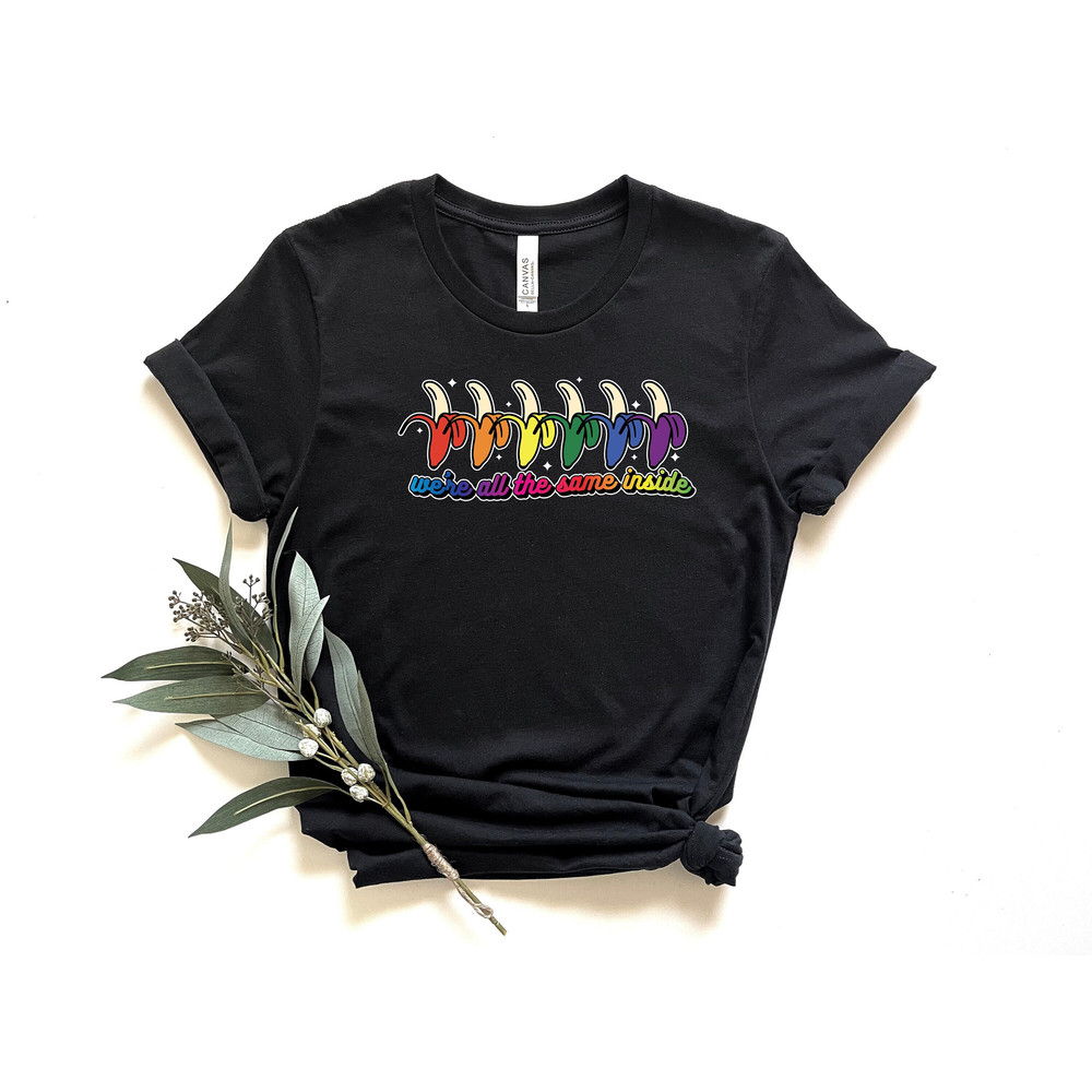 We're All The Same Inside Shirt, Pride Shirt, Equality Shirt, LGBTQ Shirt, Lesbian Shirt, Gay Shirt, Proud Mom Shirt, Pride Gift.jpg