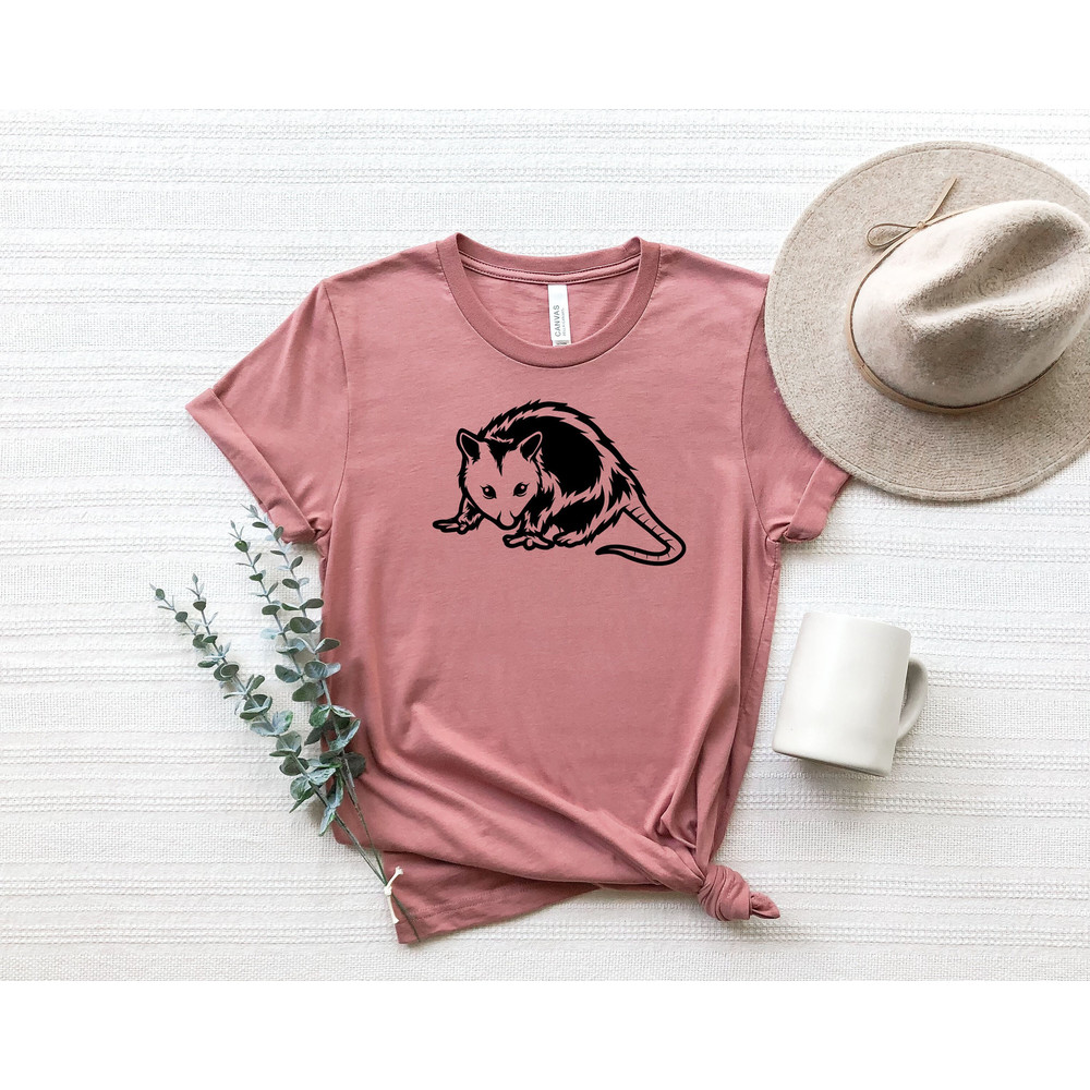 Aesthetic Opossum Tshirt, Opossum Shirt,Womens Opossum Tee,Funny Animal Shirt,Cute Opossum Tee,Opossum Lover Gift,Funny Possum Animal Gift.jpg