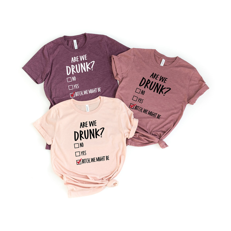 Are We Drunk Shirt, Drinking Shirt, Alcohol Lover Shirt, Funny Drunk Shirt, Drinking Party Shirt, Besties Shirt, Bitch We Might Be Shirt.jpg