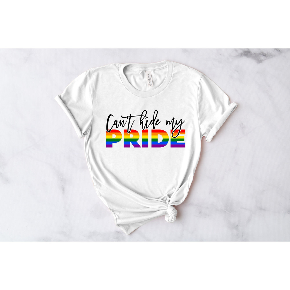 Can't Hide My Pride Shirt,You Are Enough Shirt, You are Kind Shirt, LGBTQ Shirt Lesbian Gay Shirt, Love is Love Shirt, Pride Shirt.jpg