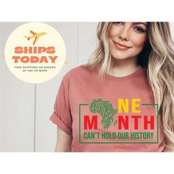 one month cant hold our history t-shirt, black history t-shirt, black history month awareness shirt, human rights tee, c