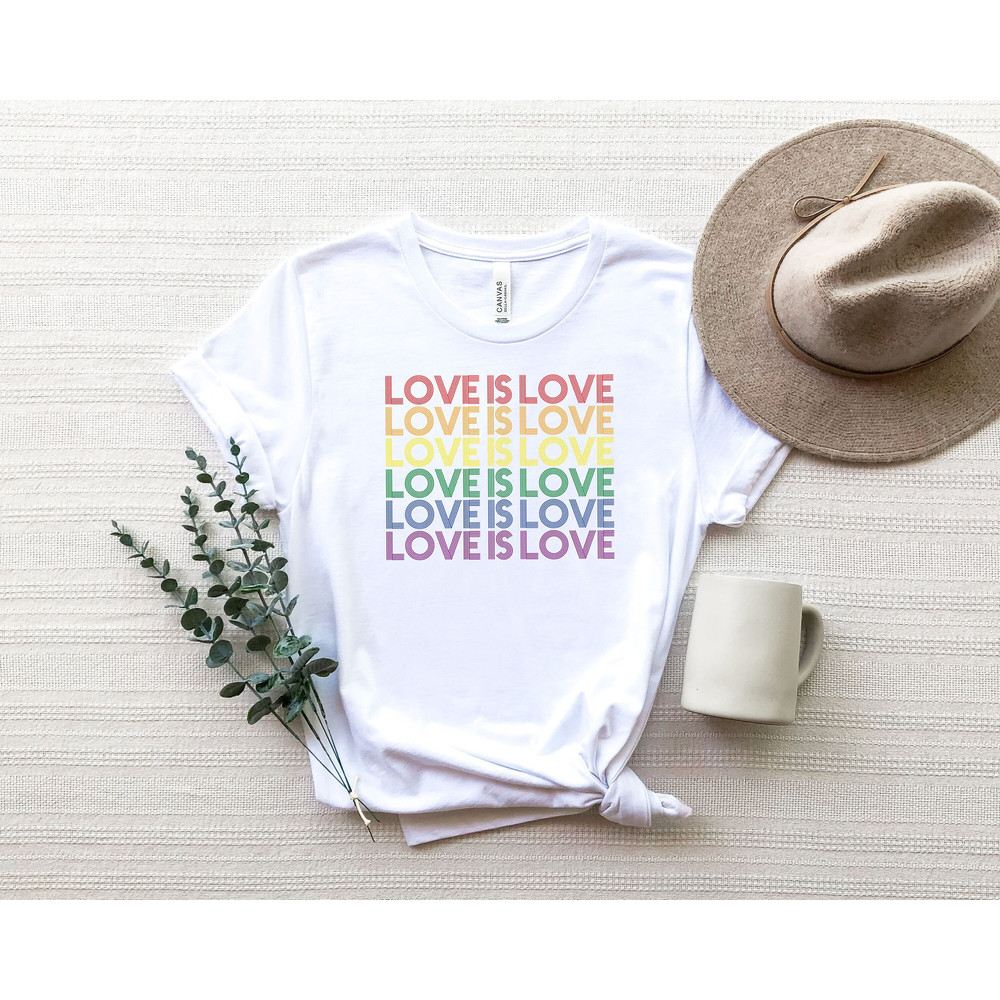 Love is Love T-Shirt, Womens Love is Love Shirt, Pride Shirt, Mens Love is Love Shirt, Kindness Shirts, LGBTQ Support Tees, Gay Pride Shirt.jpg