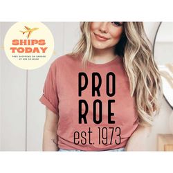 1973 pro roe v wade shirt, women's rights, pro choice t-shirt, feminist graphic tee, supreme court t-shirt, women's righ
