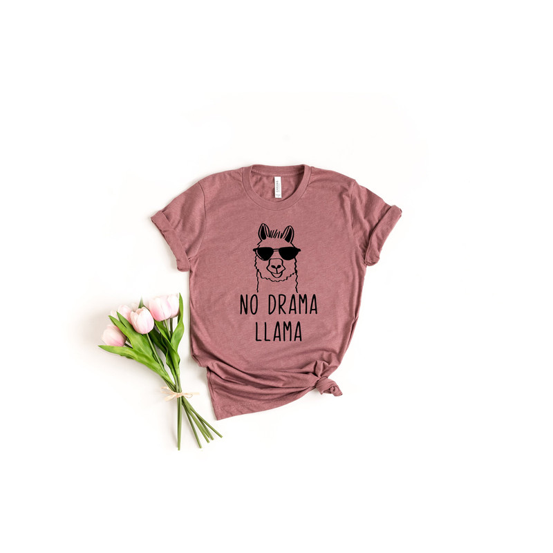 No Drama LLama Shirt, Drama Queen Shirt, Drama Girl Shirt, LLama Shirt, Funny Shirt, Don't Drama Please.jpg