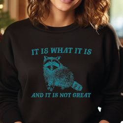 it is what it is and it is not great sweatshirt, funny meme sweater, funny raccoon hoodie, raccoon sweatshirt